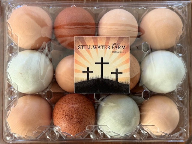 Local Farm Fresh Eggs